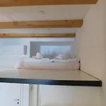 Boutique Krizanke Apartment *